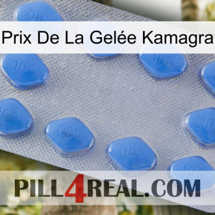 Prix De La Gelée Kamagra 21